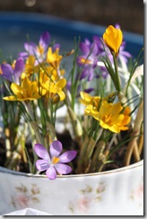 IMG_3833 IMG_3833