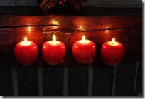 IMG_0343 IMG_0343
