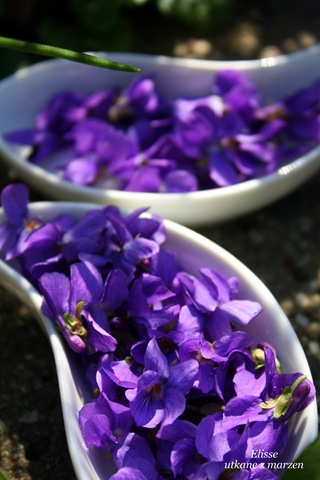 [IMG_137213.jpg]