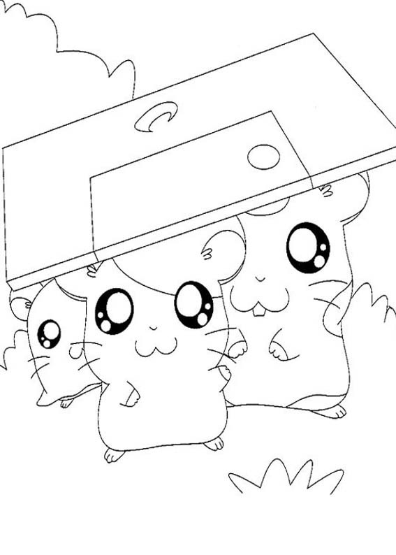 [HAMTARO92.jpg]