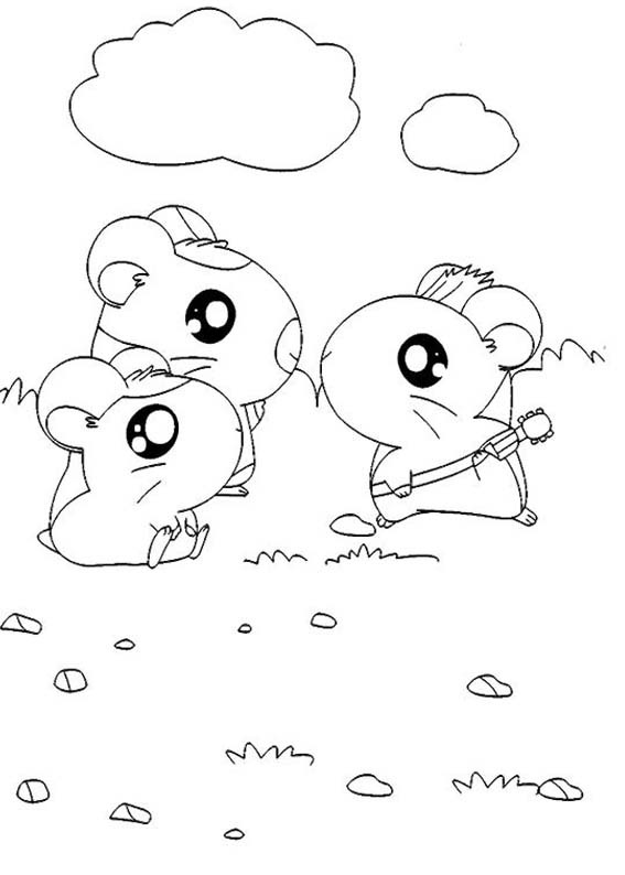 [HAMTARO102.jpg]