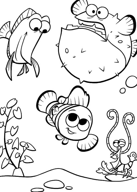 [PROCURANDO NEMO 16[2].jpg]