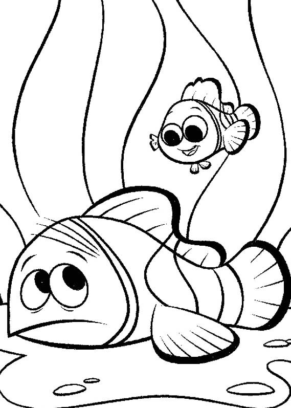 [PROCURANDO NEMO 2[2].jpg]