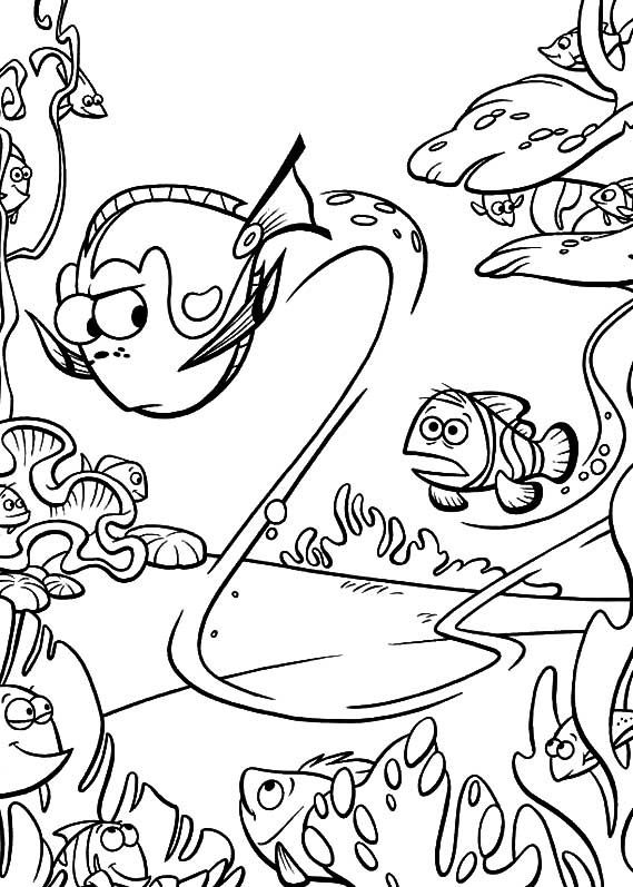 [PROCURANDO NEMO 9[2].jpg]