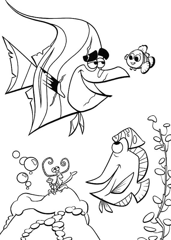[PROCURANDO NEMO 21[2].jpg]