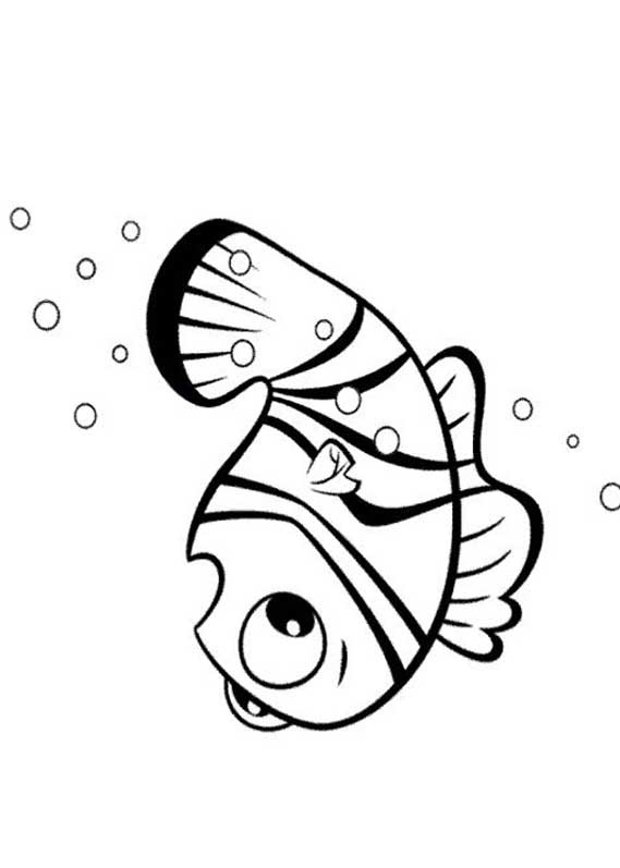 [PROCURANDO NEMO 59[2].jpg]
