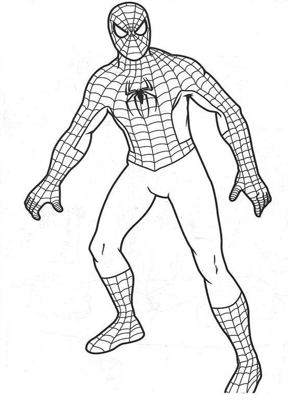 [HOMEM ARANHA 5.jpg]