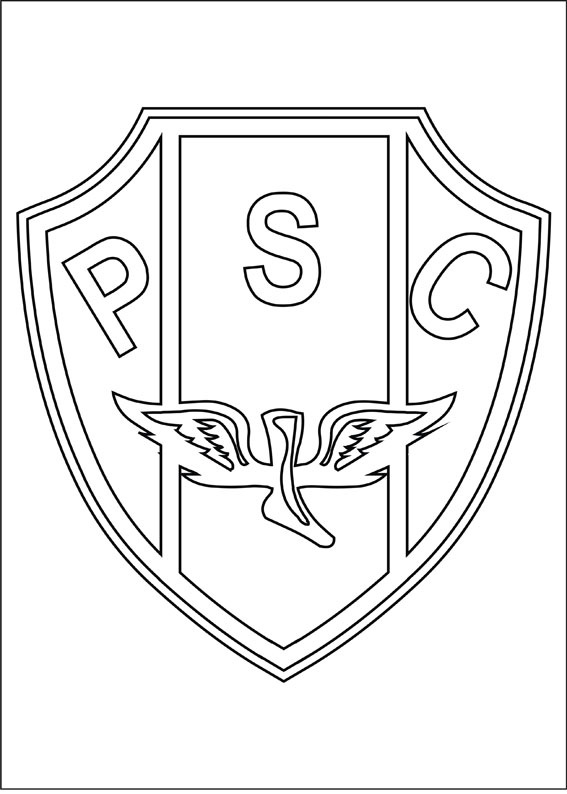[PAYSANDU SPORT CLUBE.jpg[2].jpg]