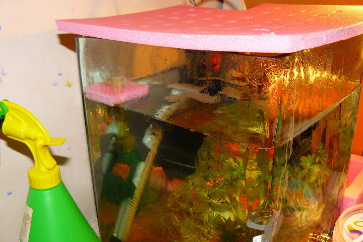 Картинка с форума