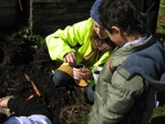 seed planting