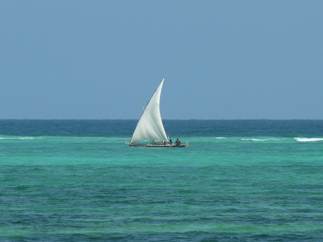 [Zanzibar 086[4].jpg]