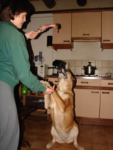 DSC06823.JPG