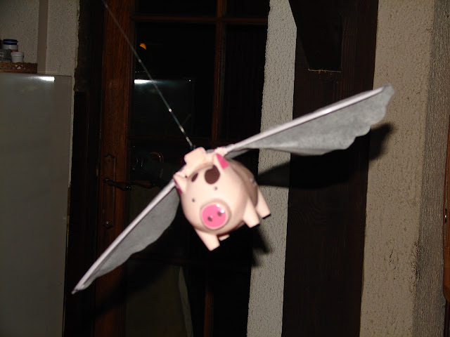 DSC06832.JPG