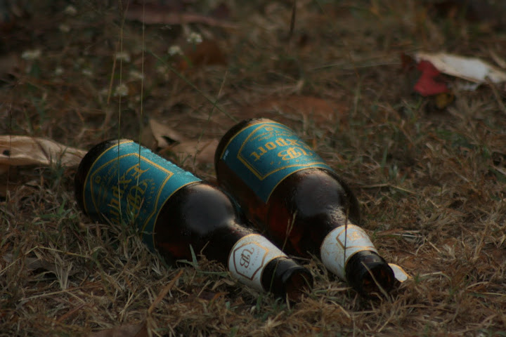 Mist on Beer bottle