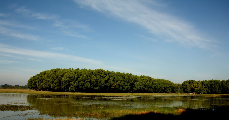 View of Jigani Lake in the morning