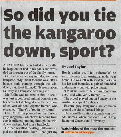 [kangaroo[6].jpg]