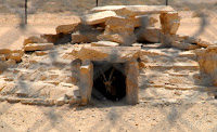 a_DSC0001.JPG