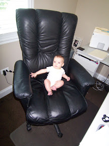 bryce-office-chair-7-23-07.jpg