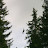 14082010345.jpg