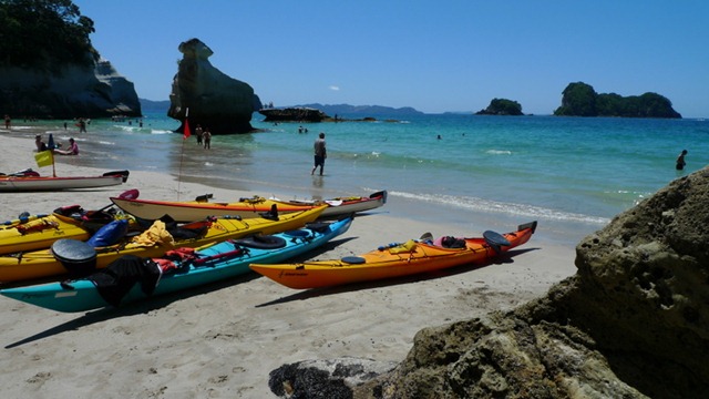 [P1010855[1].jpg]