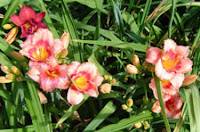 theStonefarm_15.jpg