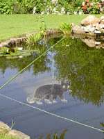 theStonefarm_7.jpg