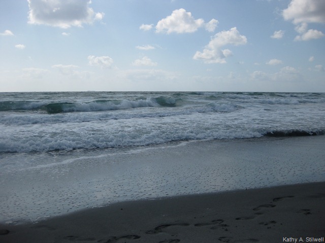 [IMG_330211.jpg]