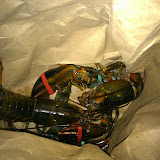 2010-03-10 19.43.58