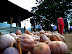 18 sib.jpg