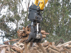 Forestry-RPA