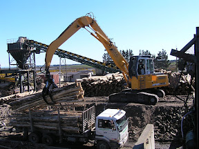 Forestry-Combination Grapple