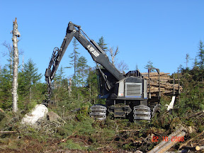 Forestry-Bunching