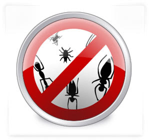 spyware