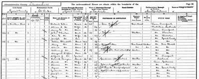 [1901-census-blog[3].jpg]