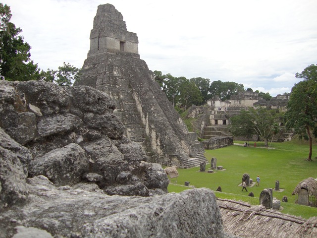 [DSC00978[5].jpg]
