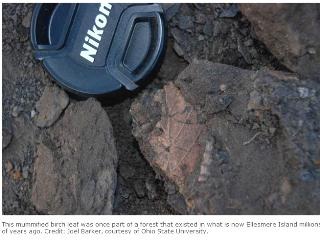 [clip_image005[4].jpg]