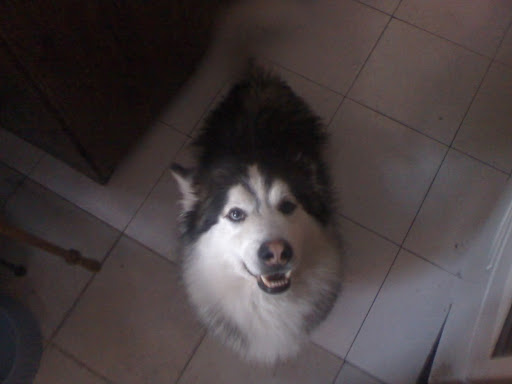 11-12-07_1617.jpg