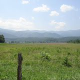 View Album