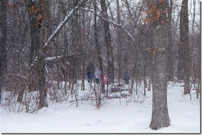 Through the new woods with daddy