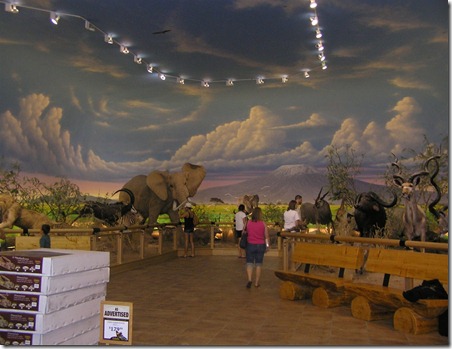 Cabelas Sporting Store