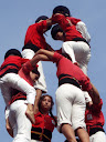 http://lh3.ggpht.com/_Mf0WlVqeCbM/SvRA8TEBTdI/AAAAAAAABQM/Yy_NLEFM68Q/PB010117.JPG