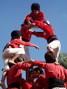 http://lh3.ggpht.com/_Mf0WlVqeCbM/SwQqG1JjM8I/AAAAAAAABjA/d2gFSN_YWRI/PB070200.JPG