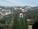 http://lh3.ggpht.com/_Mf0WlVqeCbM/SwrjC-LRFuI/AAAAAAAADGU/PC7Istc8fSw/PB140887.JPG