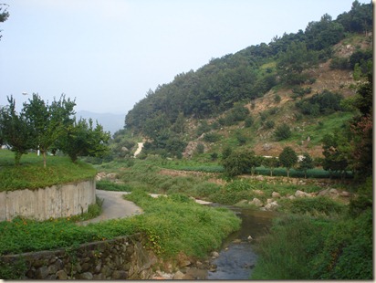 DSC06204