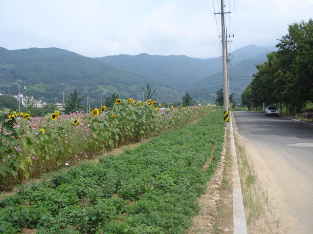 [DSC062163.jpg]