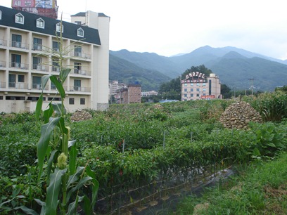 DSC06148