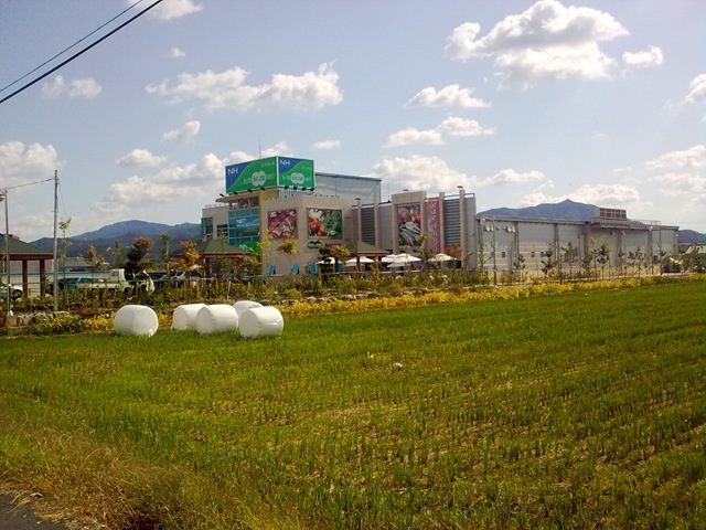 [08102009_005[3].jpg]
