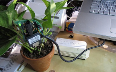 botanicalls-plant-tweet