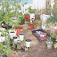 SneIrish's New Stuff Planting & Patiently Waiting garden