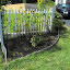 SneIrish's Corner garden